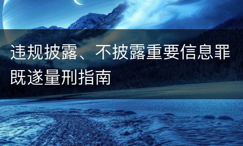 违规披露、不披露重要信息罪既遂量刑指南