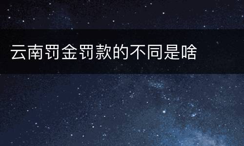 云南罚金罚款的不同是啥