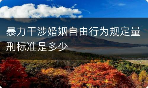 暴力干涉婚姻自由行为规定量刑标准是多少