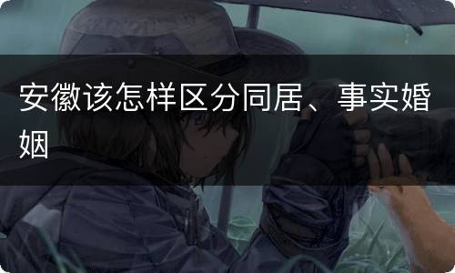 安徽该怎样区分同居、事实婚姻