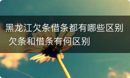 黑龙江欠条借条都有哪些区别 欠条和借条有何区别