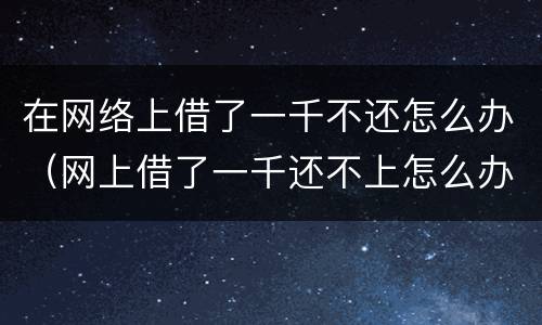 在网络上借了一千不还怎么办（网上借了一千还不上怎么办）