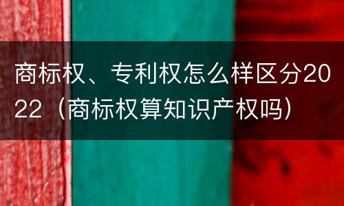 商标权、专利权怎么样区分2022（商标权算知识产权吗）