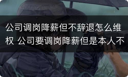 公司调岗降薪但不辞退怎么维权 公司要调岗降薪但是本人不愿意是否可以解除