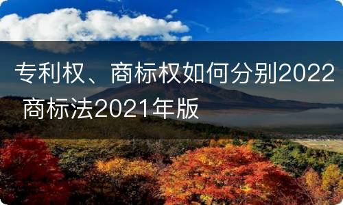 专利权、商标权如何分别2022 商标法2021年版