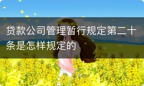 贷款公司管理暂行规定第二十条是怎样规定的