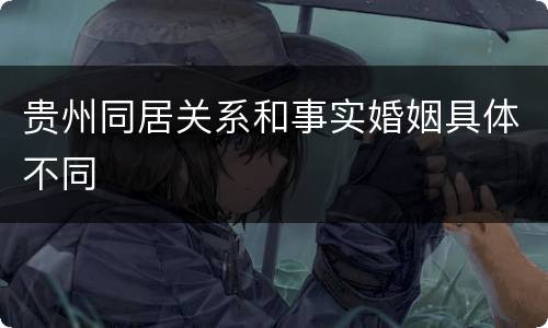 贵州同居关系和事实婚姻具体不同