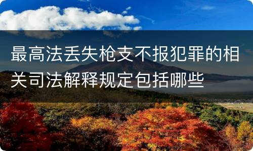 最高法丢失枪支不报犯罪的相关司法解释规定包括哪些