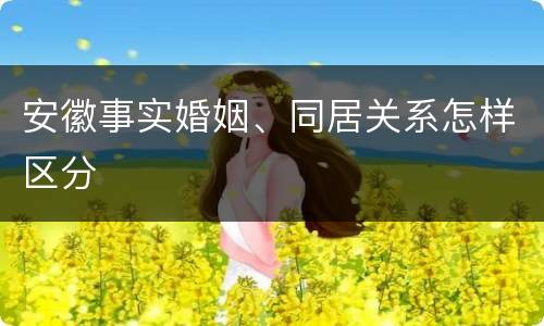 安徽事实婚姻、同居关系怎样区分