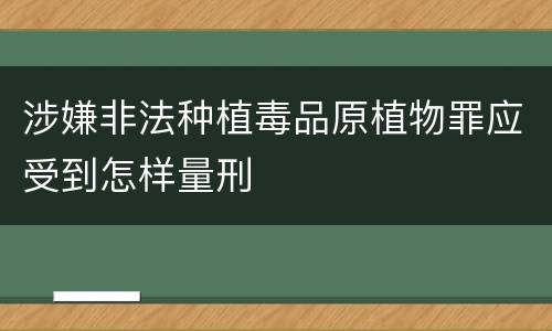 涉嫌非法种植毒品原植物罪应受到怎样量刑