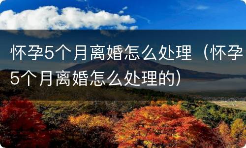 怀孕5个月离婚怎么处理（怀孕5个月离婚怎么处理的）