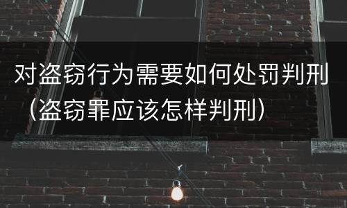 对盗窃行为需要如何处罚判刑（盗窃罪应该怎样判刑）