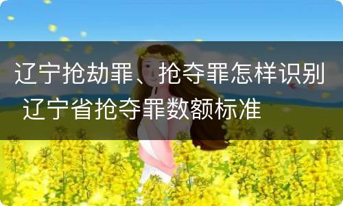 辽宁抢劫罪、抢夺罪怎样识别 辽宁省抢夺罪数额标准