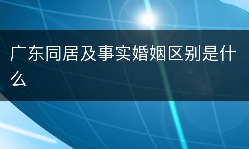 广东同居及事实婚姻区别是什么