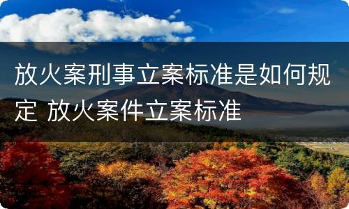 放火案刑事立案标准是如何规定 放火案件立案标准