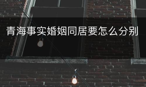 青海事实婚姻同居要怎么分别