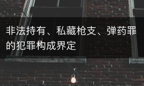 非法持有、私藏枪支、弹药罪的犯罪构成界定
