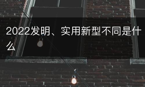 2022发明、实用新型不同是什么