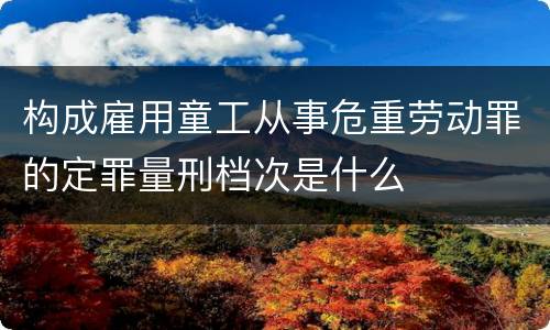 构成雇用童工从事危重劳动罪的定罪量刑档次是什么