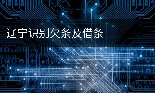 辽宁识别欠条及借条
