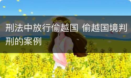 刑法中放行偷越国 偷越国境判刑的案例