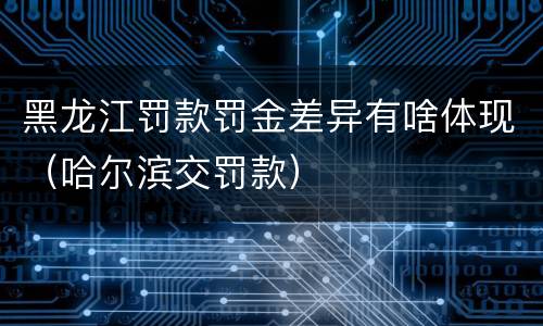 黑龙江罚款罚金差异有啥体现（哈尔滨交罚款）