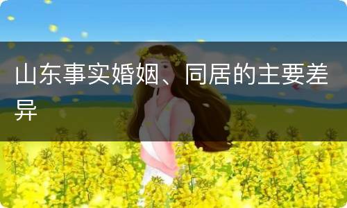 山东事实婚姻、同居的主要差异