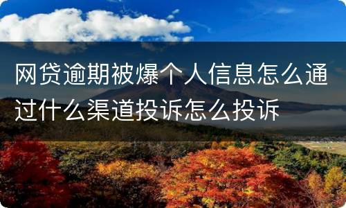 网贷逾期被爆个人信息怎么通过什么渠道投诉怎么投诉