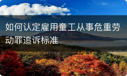 如何认定雇用童工从事危重劳动罪追诉标准