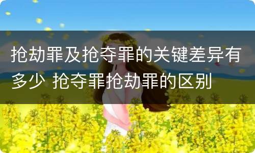 抢劫罪及抢夺罪的关键差异有多少 抢夺罪抢劫罪的区别