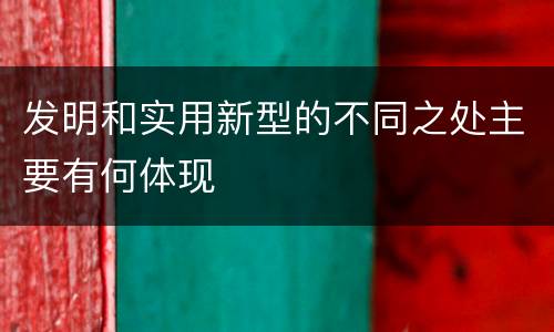 发明和实用新型的不同之处主要有何体现