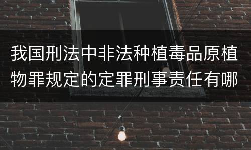 我国刑法中非法种植毒品原植物罪规定的定罪刑事责任有哪些
