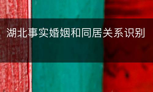 湖北事实婚姻和同居关系识别