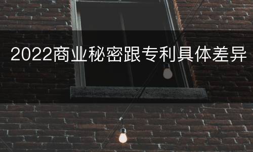 2022商业秘密跟专利具体差异