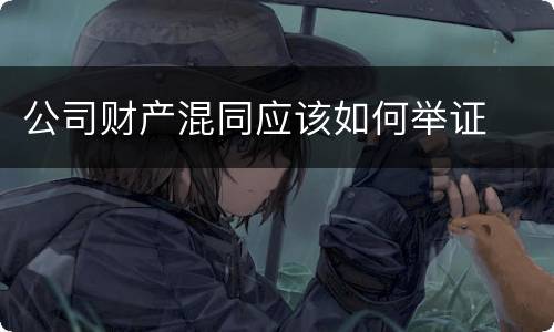 公司财产混同应该如何举证