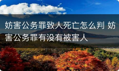 妨害公务罪致人死亡怎么判 妨害公务罪有没有被害人