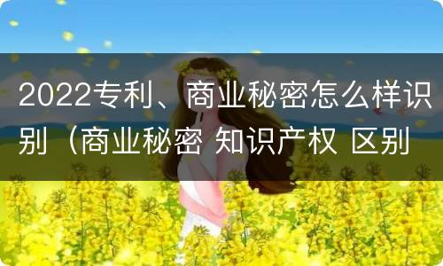 2022专利、商业秘密怎么样识别（商业秘密 知识产权 区别）