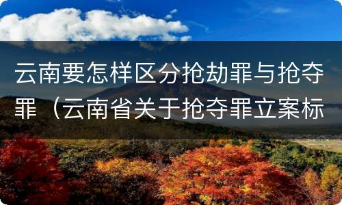 云南要怎样区分抢劫罪与抢夺罪（云南省关于抢夺罪立案标准）