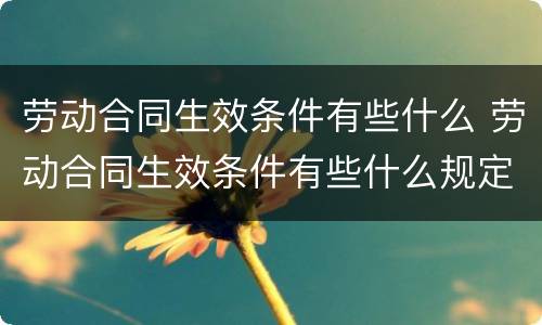 劳动合同生效条件有些什么 劳动合同生效条件有些什么规定