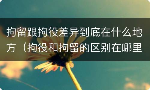 拘留跟拘役差异到底在什么地方（拘役和拘留的区别在哪里）