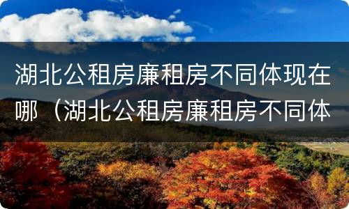 湖北公租房廉租房不同体现在哪（湖北公租房廉租房不同体现在哪些地方）