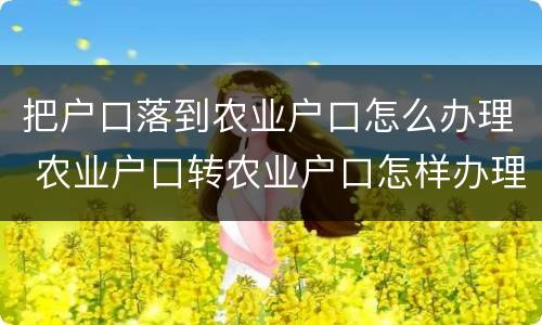 把户口落到农业户口怎么办理 农业户口转农业户口怎样办理
