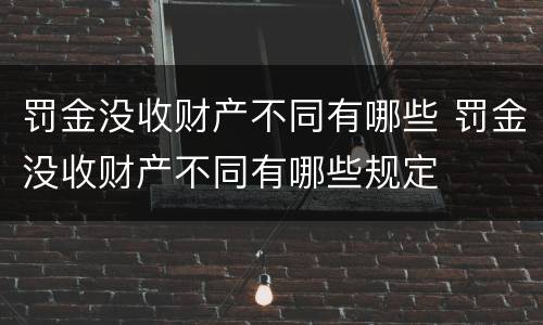 罚金没收财产不同有哪些 罚金没收财产不同有哪些规定