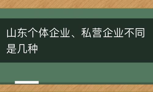 山东个体企业、私营企业不同是几种