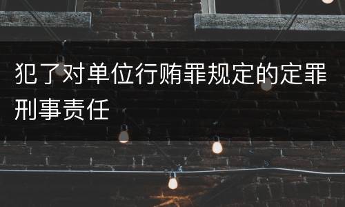 犯了对单位行贿罪规定的定罪刑事责任