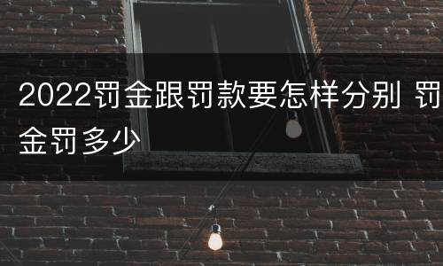 2022罚金跟罚款要怎样分别 罚金罚多少