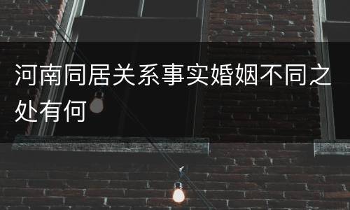 河南同居关系事实婚姻不同之处有何