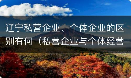 辽宁私营企业、个体企业的区别有何（私营企业与个体经营企业的区别）