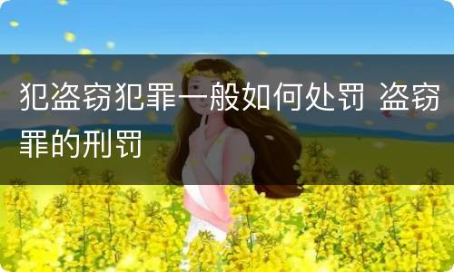 犯盗窃犯罪一般如何处罚 盗窃罪的刑罚
