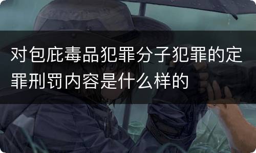 对包庇毒品犯罪分子犯罪的定罪刑罚内容是什么样的